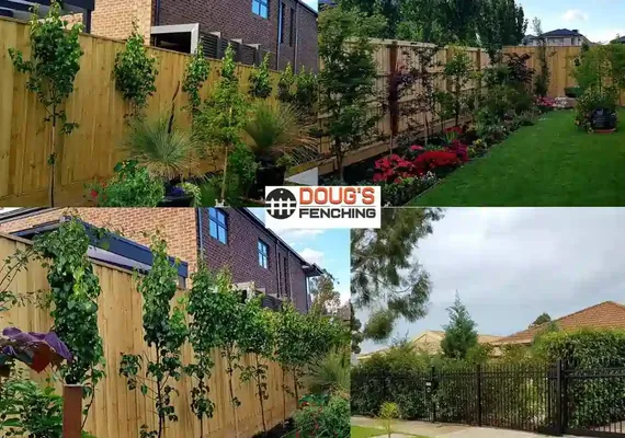 Timber paling fence with exposed posts, Geelong