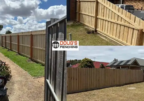 New timber paling fence to a Geelong backyard